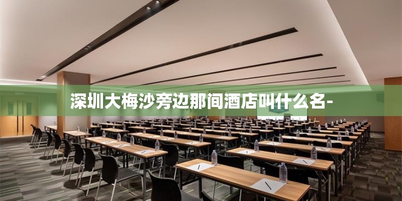深圳大梅沙旁边那间酒店叫什么名-