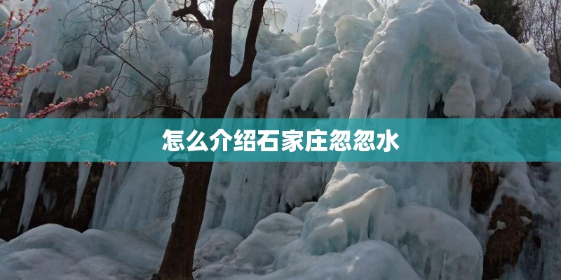 怎么介绍石家庄忽忽水
