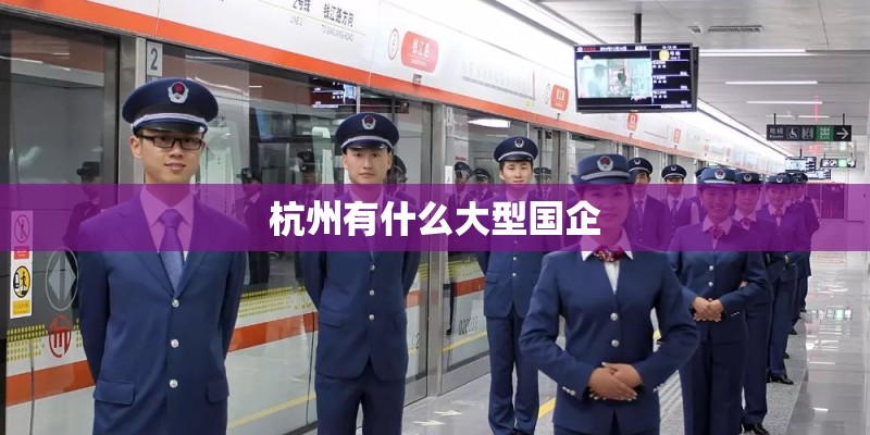 杭州有什么大型国企