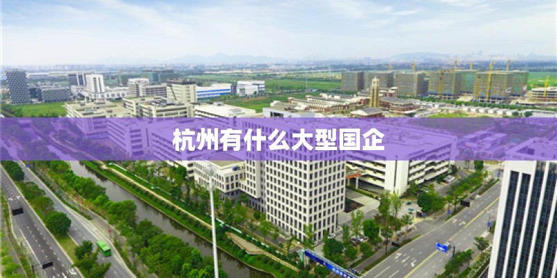 杭州有什么大型国企