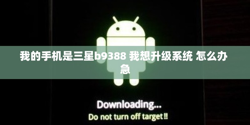 我的手机是三星b9388 我想升级系统 怎么办 急