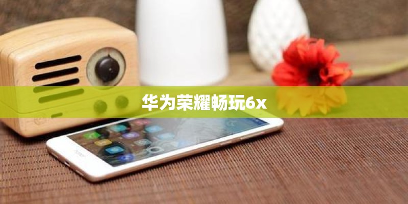 华为荣耀畅玩6x