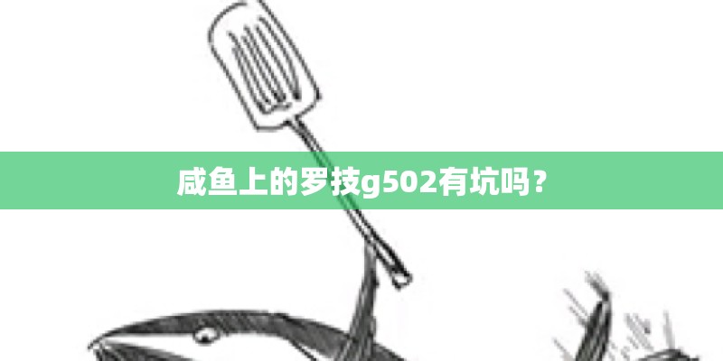咸鱼上的罗技g502有坑吗？