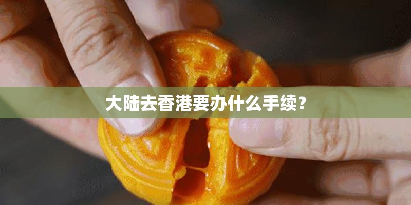 大陆去香港要办什么手续？
