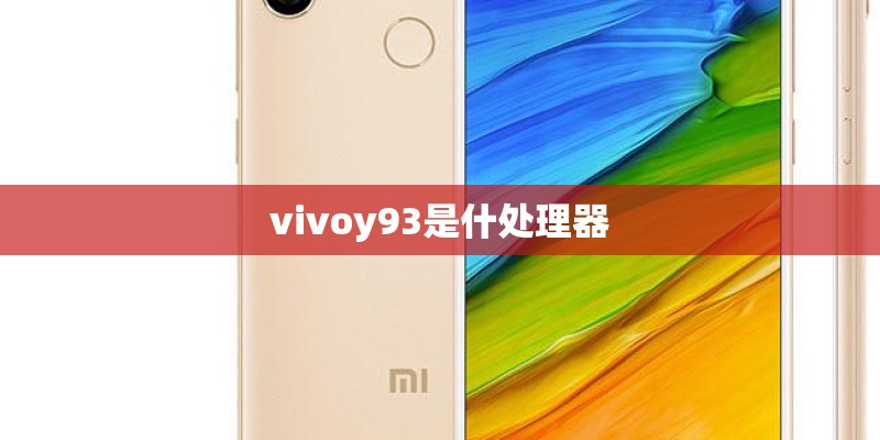 vivoy93是什处理器