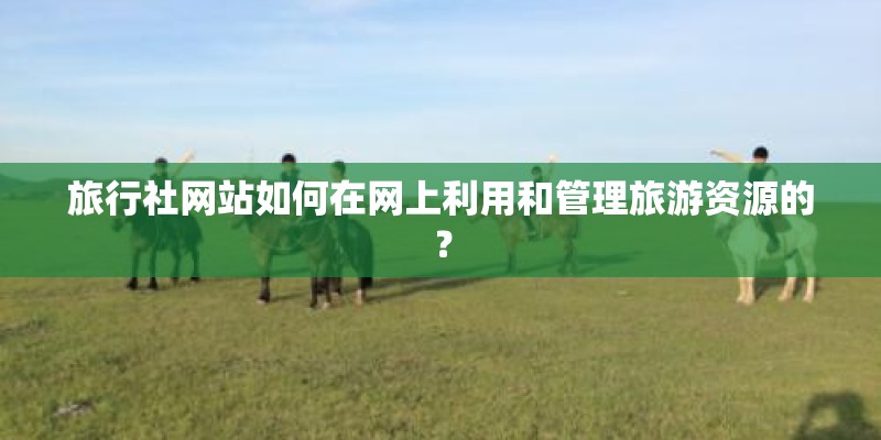 旅行社网站如何在网上利用和管理旅游资源的？