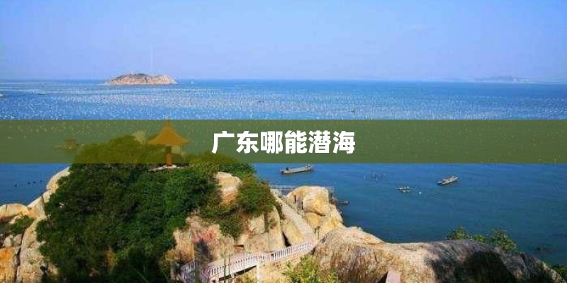 广东哪能潜海