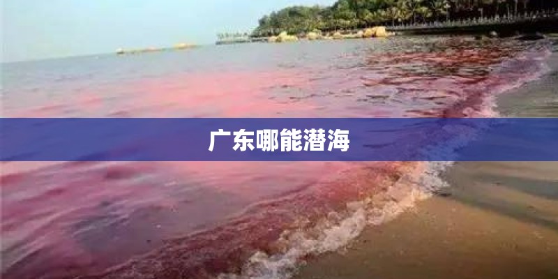 广东哪能潜海