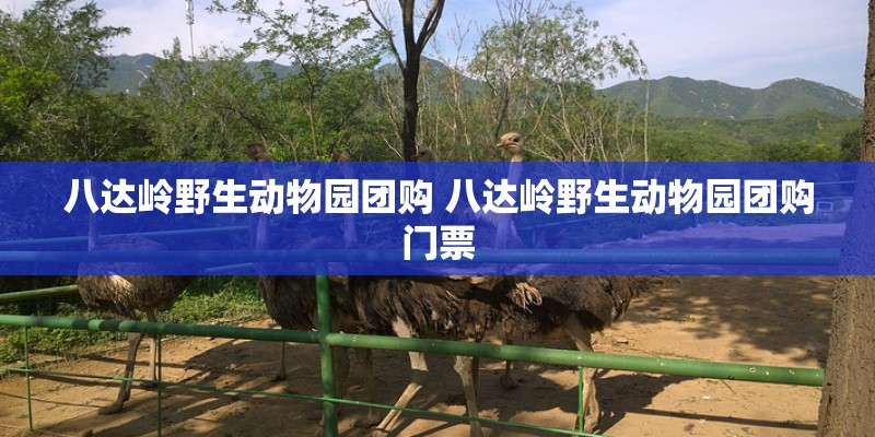 八达岭野生动物园团购 八达岭野生动物园团购门票