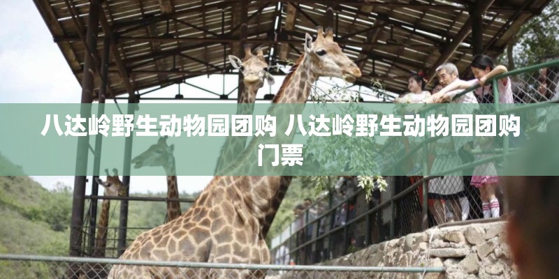 八达岭野生动物园团购 八达岭野生动物园团购门票