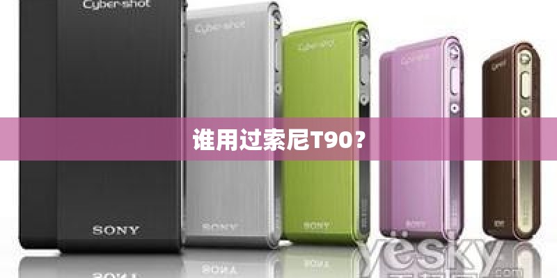 谁用过索尼T90？