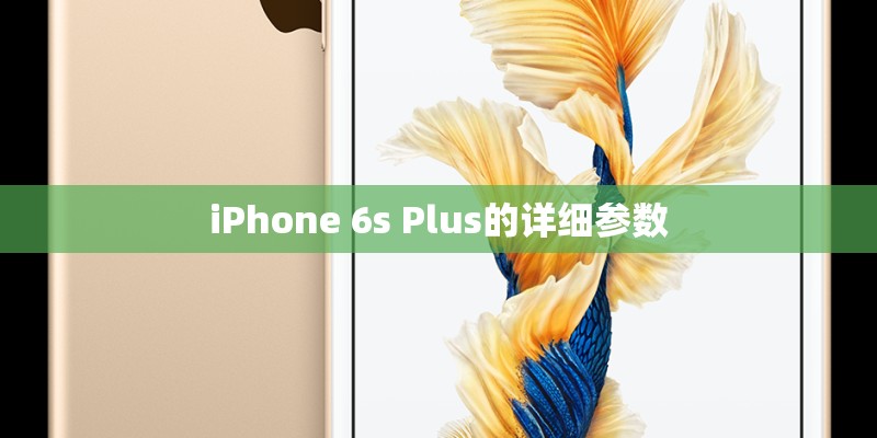 iPhone 6s Plus的详细参数
