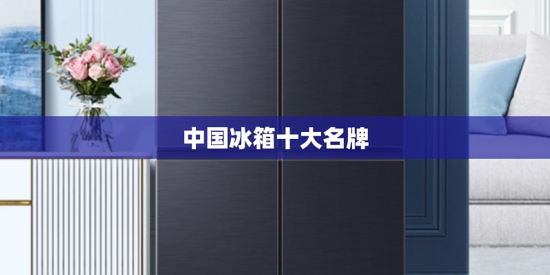 中国冰箱十大名牌