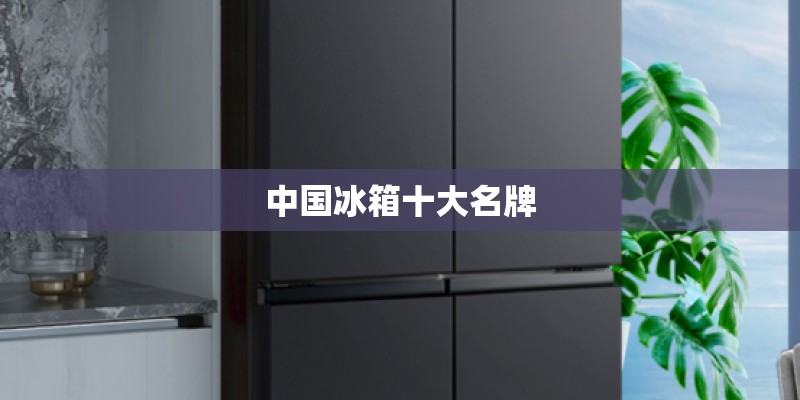 中国冰箱十大名牌