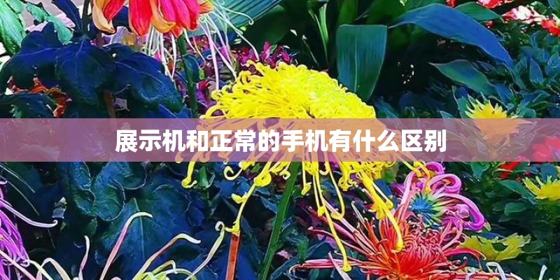 展示机和正常的手机有什么区别