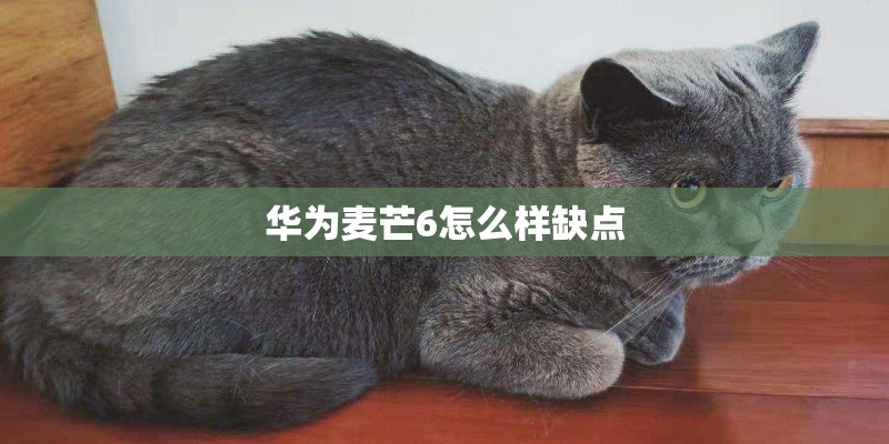 华为麦芒6怎么样缺点
