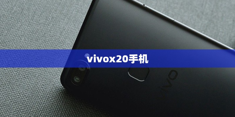 vivox20手机