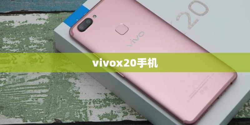 vivox20手机
