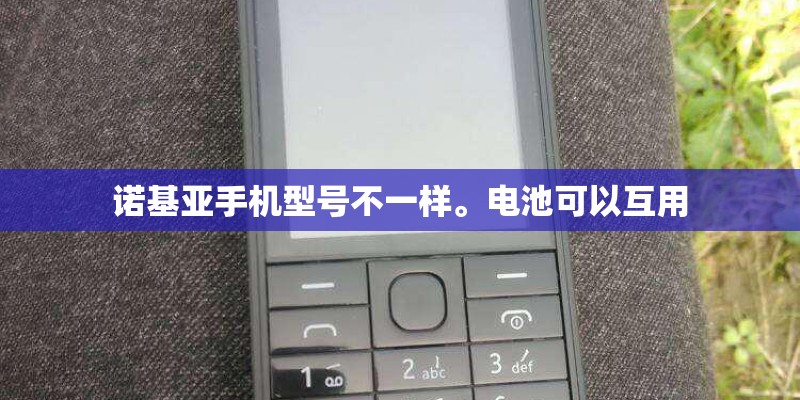 诺基亚手机型号不一样。电池可以互用