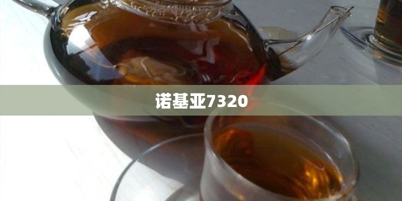 诺基亚7320