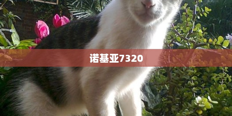 诺基亚7320