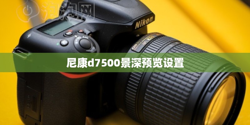 尼康d7500景深预览设置