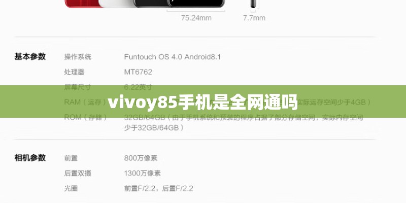 vivoy85手机是全网通吗