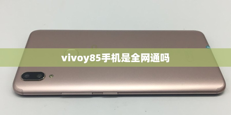 vivoy85手机是全网通吗