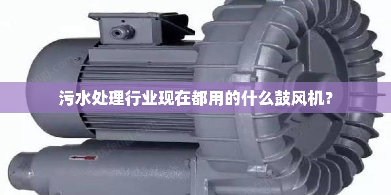 污水处理行业现在都用的什么鼓风机？