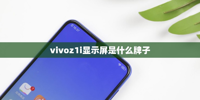 vivoz1i显示屏是什么牌子