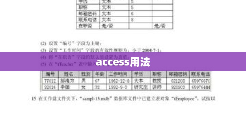 access用法