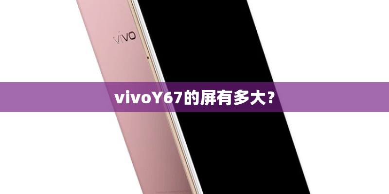 vivoY67的屏有多大？