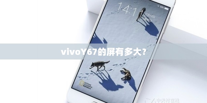 vivoY67的屏有多大？