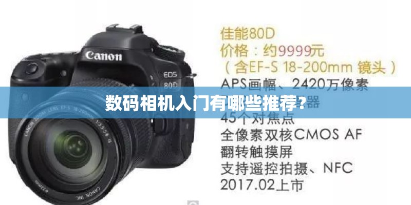 数码相机入门有哪些推荐？