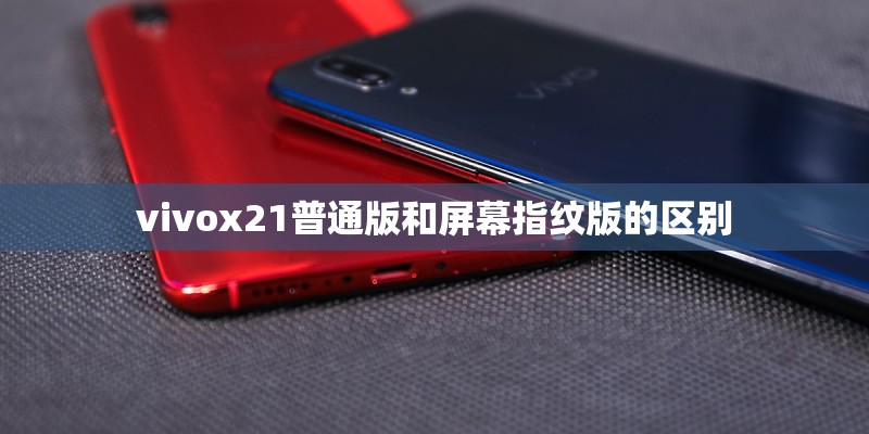 vivox21普通版和屏幕指纹版的区别