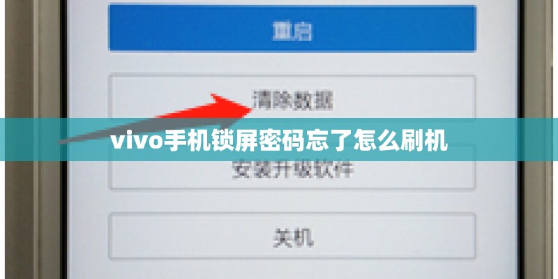 vivo手机锁屏密码忘了怎么刷机