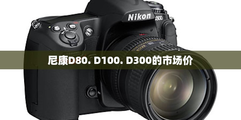 尼康D80. D100. D300的市场价