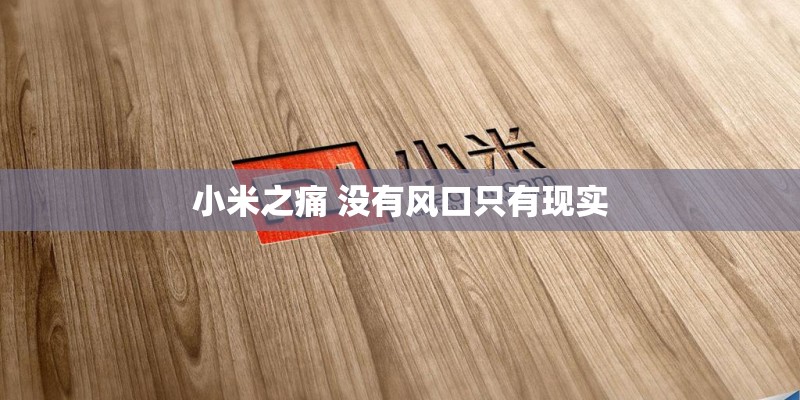 小米之痛 没有风口只有现实