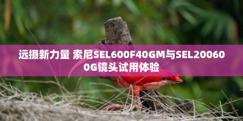 华为nova3e的参数配置