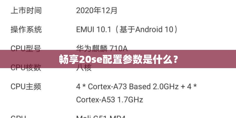 诺基亚1110这一款手机怎么样啊？