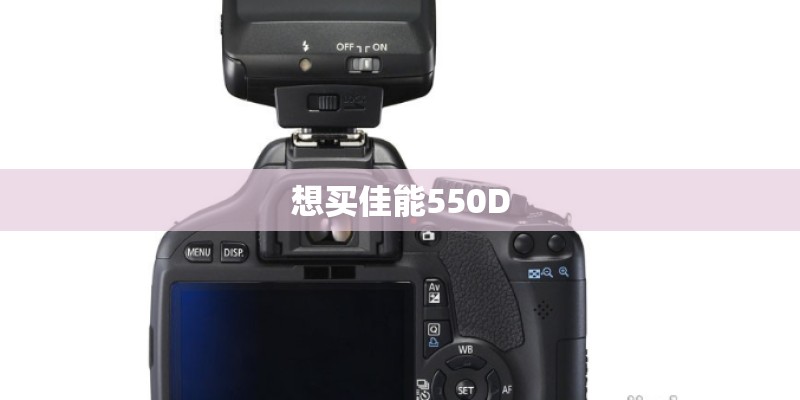想买佳能550D