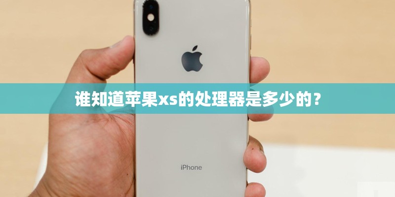 谁知道苹果xs的处理器是多少的？